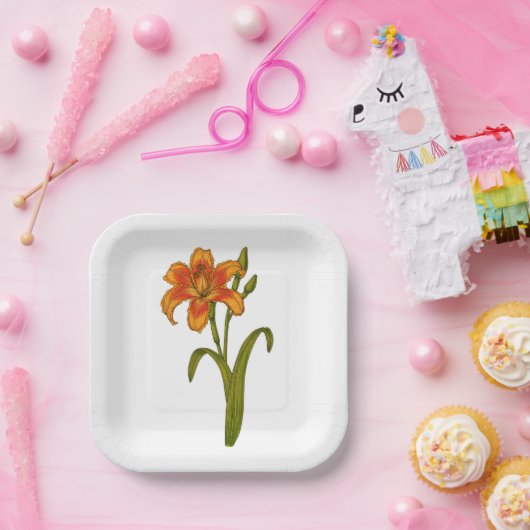 Assiettes En Carton Plaques en papier tawny (Fête)