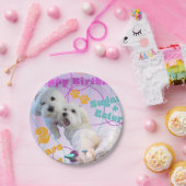 Assiettes En Carton Plaques jumelles maltaises (Fête)