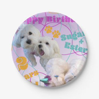 Assiettes En Carton Plaques jumelles maltaises