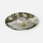 Assiettes En Carton Plaques papier Apple Blossom (Angle)