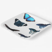 Assiettes En Carton Plaques papier Blue Butterfly (Angulaire)
