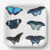 Assiettes En Carton Plaques papier Blue Butterfly (Recto)