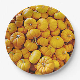 Assiettes En Carton Plaques papier Citrouilles d'Halloween
