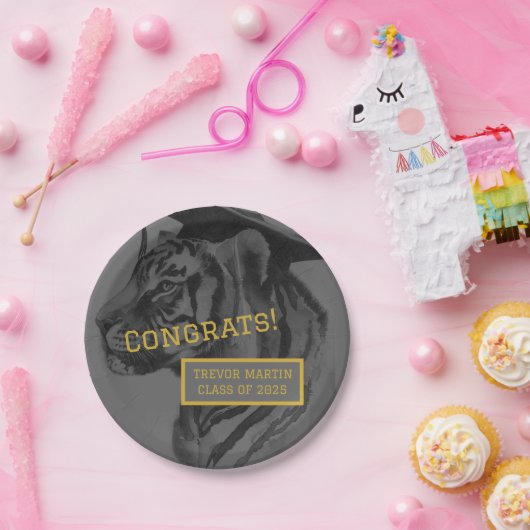 Assiettes En Carton Plaques papier du groupe de diplômés (Fête)