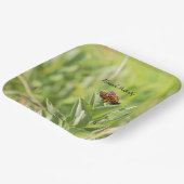 Assiettes En Carton Plaques Papier papillon Monarque (Angulaire)