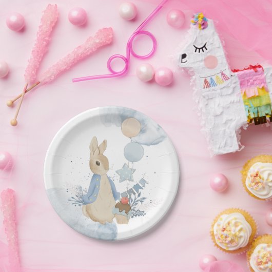 Assiettes En Carton Plaques Papier Pierre de lapin (Fête)