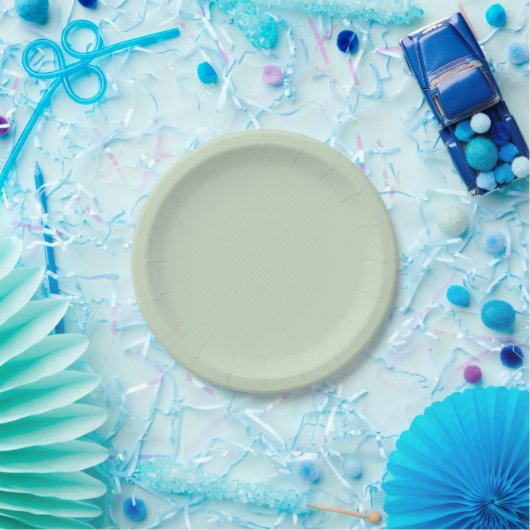 Assiettes En Carton Plaques simples et simples pour Mariage fête d'ann (Fête)