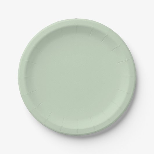 Assiettes En Carton Plaques simples et simples pour Mariage fête d'ann (Devant)