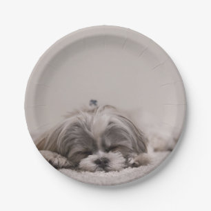 Assiettes En Carton Plat customisé de tzu de Shih, chien de sommeil