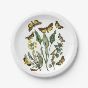 Assiettes En Carton Plat vintage naturel botanique de papillon et de