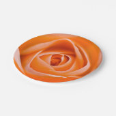 Assiettes En Carton Plate de papier rose orange (Angle)
