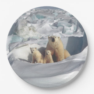 Assiettes En Carton Plats arctiques de faune de CUB de mère d'ours