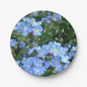 Assiettes En Carton Plats de partie de *Forget-Me-Not*