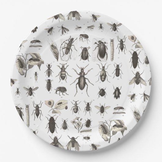 Assiettes En Carton Plats drôles d'anniversaire de enfant d'insecte (Devant)