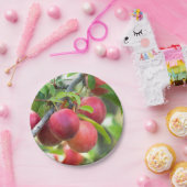 Assiettes En Carton Plum cerise sur branche (Fête)