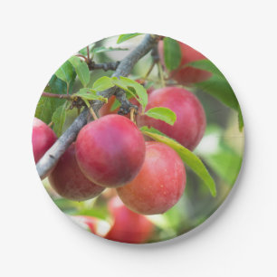 Assiettes En Carton Plum cerise sur branche