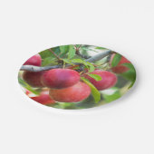 Assiettes En Carton Plum cerise sur branche (Angle)
