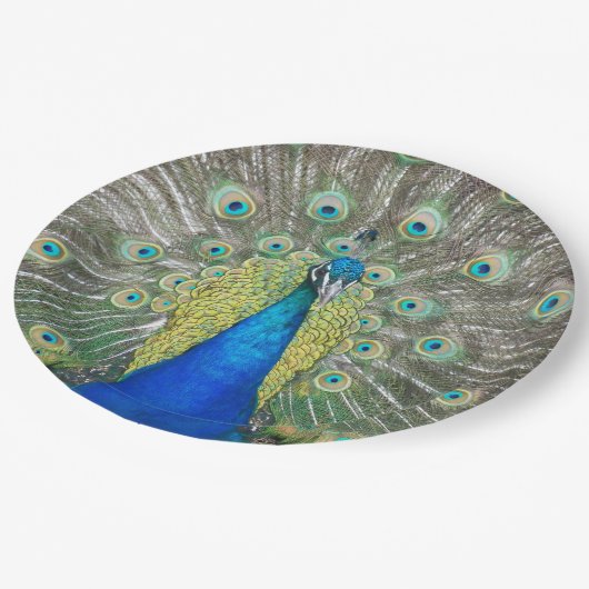 Assiettes En Carton Plumage bleu Peacock (Angle)