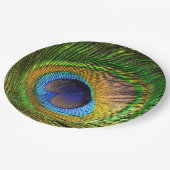 Assiettes En Carton Plume vive (Angle)