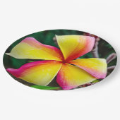 Assiettes En Carton Plumeria rubra (Angle)