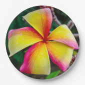 Assiettes En Carton Plumeria rubra (Devant)