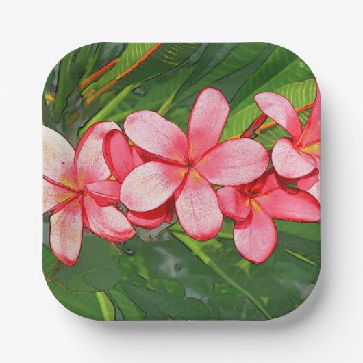 Assiettes En Carton plumérie (Recto)