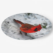 Assiettes En Carton Plumes cardinales rouges et plumage (Angle)