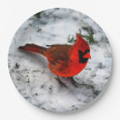 Assiettes En Carton Plumes cardinales rouges et plumage (Devant)
