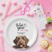 Assiettes En Carton Pointeur à poils durs (Fête)