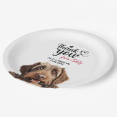 Assiettes En Carton Pointeur à poils durs (Angle)