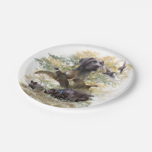 Assiettes En Carton Pointeurs germains (GSP) (Angle)