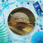 Assiettes En Carton Poisson-chat électrique (Fête)