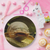 Assiettes En Carton Poisson-chat électrique (Fête)