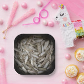 Assiettes En Carton Poisson dans un seau (Fête)