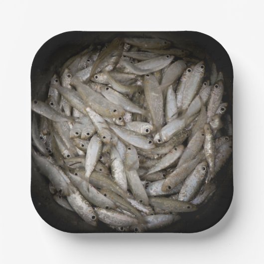Assiettes En Carton Poisson dans un seau (Recto)