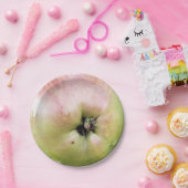 ASSIETTES EN CARTON POMME (Fête)