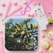 Assiettes En Carton Pommes (Fête)