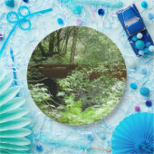 Assiettes En Carton Pont Muir Woods I (Fête)