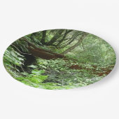 Assiettes En Carton Pont Muir Woods I (Angle)