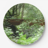 Assiettes En Carton Pont Muir Woods I (Devant)