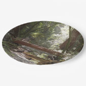Assiettes En Carton Pont Muir Woods II (Angle)