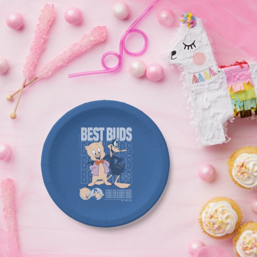 Assiettes En Carton Porky Pig & DAFFY DUCK™ Best Buds (Fête)