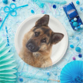 Assiettes En Carton Portrait amusant et adorable de berger allemand (Fête)