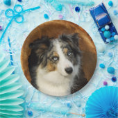 Assiettes En Carton Portrait bleu de chien de border collie Merle, (Fête)