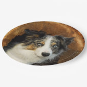 Assiettes En Carton Portrait bleu de chien de border collie Merle, (Angle)