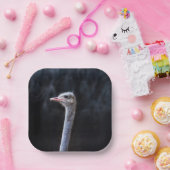 Assiettes En Carton portrait d'autruche (Fête)