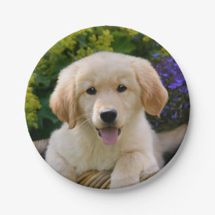 Assiettes En Carton Portrait de charme de chiot de chien de Goldie,