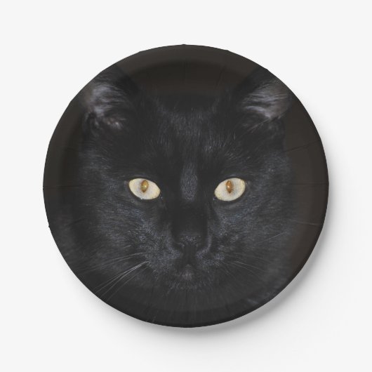 Assiettes En Carton Portrait de chat noir (Devant)