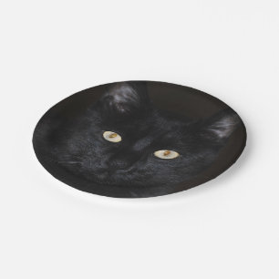 Assiettes En Carton Portrait de chat noir