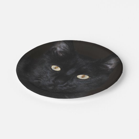 Assiettes En Carton Portrait de chat noir (Angle)